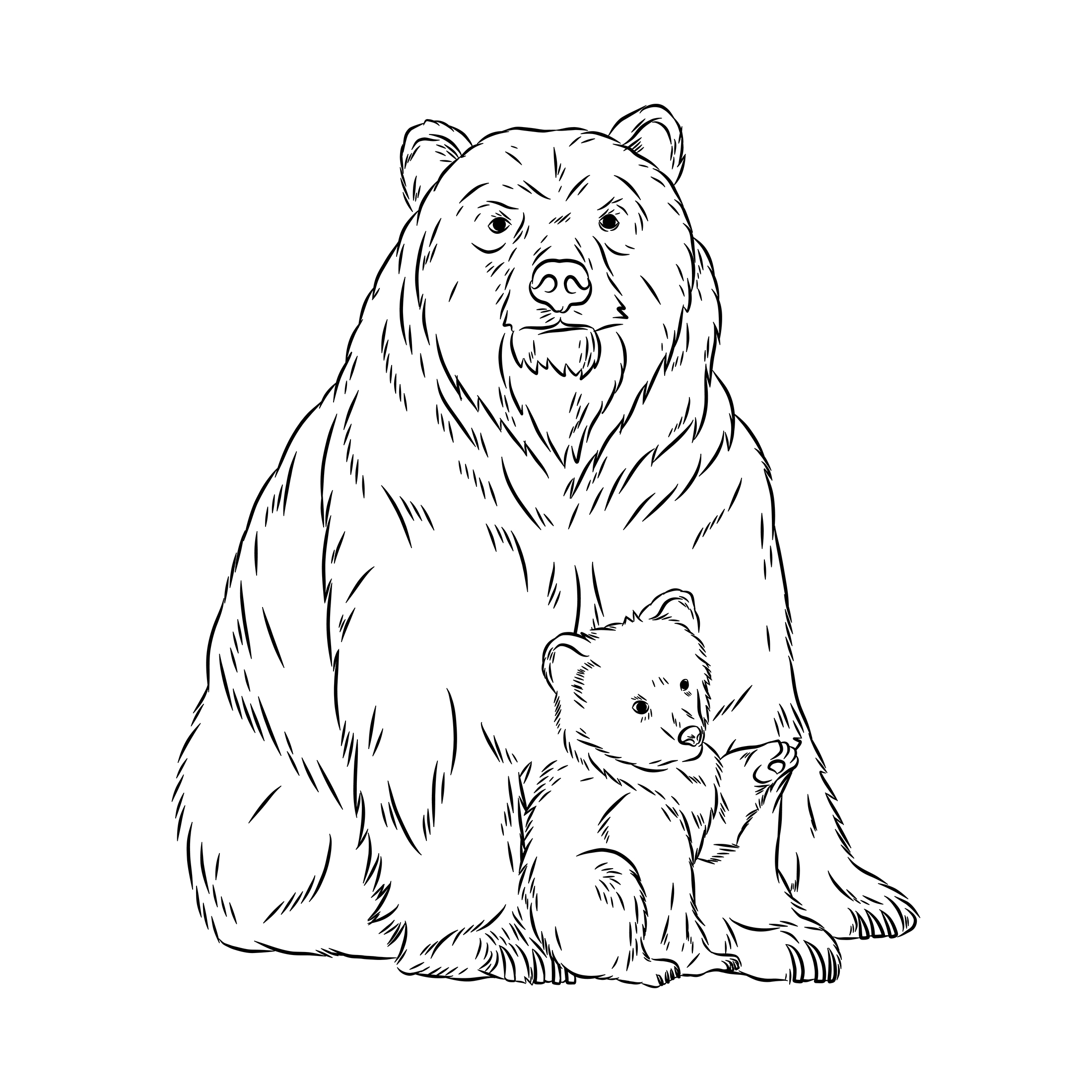 Mama bear and cub illustration
